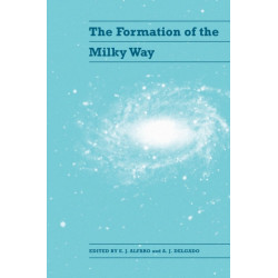The Formation of the Milky Way