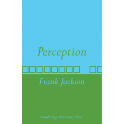 Perception: A representative theory