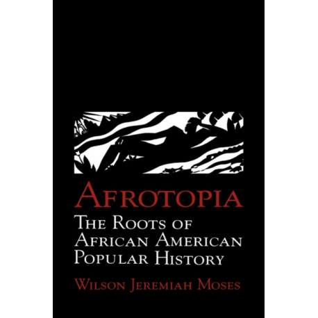 Afrotopia: The Roots of African American Popular History
