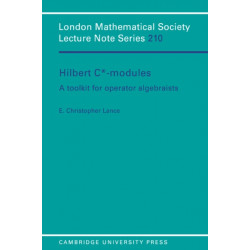 Hilbert C*-Modules: A Toolkit for Operator Algebraists