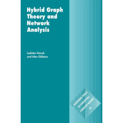 Hybrid Graph Theory and Network Analysis