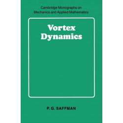 Vortex Dynamics