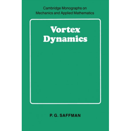 Vortex Dynamics