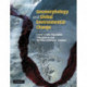 Geomorphology and Global Environmental Change