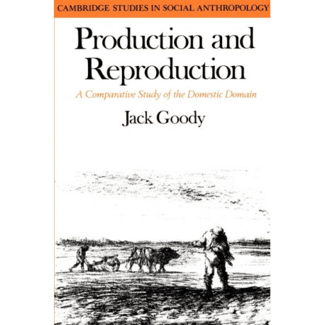 Production and Reproduction: A Comparative Study of the Domestic Domain