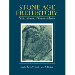 Stone Age Prehistory: Studies in Memory of Charles McBurney