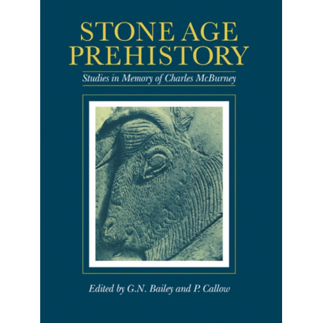 Stone Age Prehistory: Studies in Memory of Charles McBurney