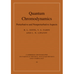 Quantum Chromodynamics: Perturbative and Nonperturbative Aspects