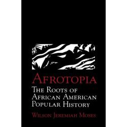 Afrotopia: The Roots of African American Popular History
