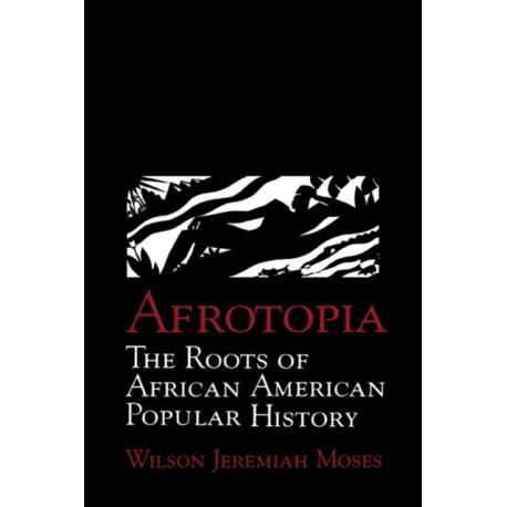Afrotopia: The Roots of African American Popular History