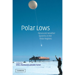 Polar Lows: Mesoscale Weather Systems in the Polar Regions