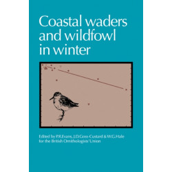 Coastal Waders and Wildfowl in Winter