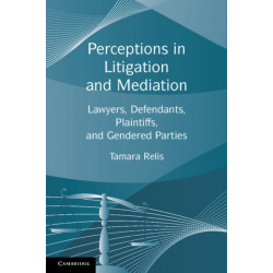 Perceptions in Litigation and Mediation: Lawyers, Defendants, Plaintiffs, and Gendered Parties