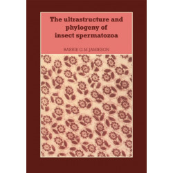 The Ultrastructure and Phylogeny of Insect Spermatozoa