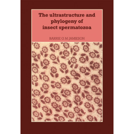 The Ultrastructure and Phylogeny of Insect Spermatozoa