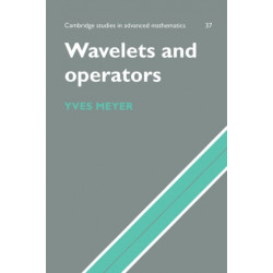 Wavelets and Operators: Volume 1