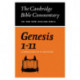 Genesis 1-11