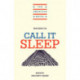 New Essays on Call It Sleep