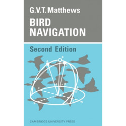 Bird Navigation