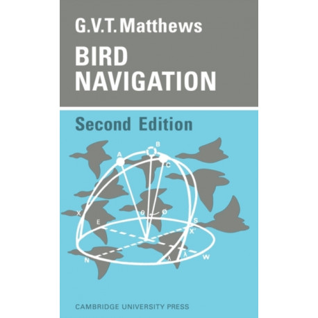 Bird Navigation