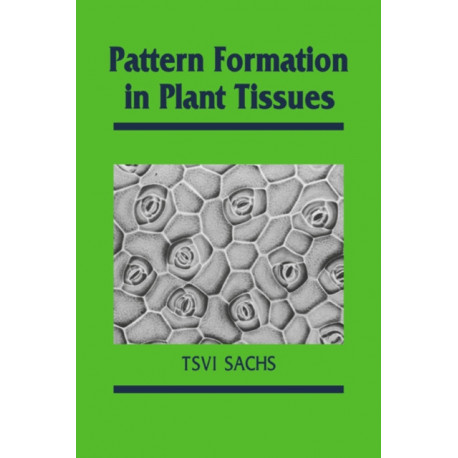 Pattern Formation in Plant Tissues