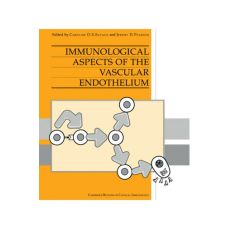 Immunological Aspects of the Vascular Endothelium