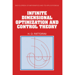Infinite Dimensional Optimization and Control Theory