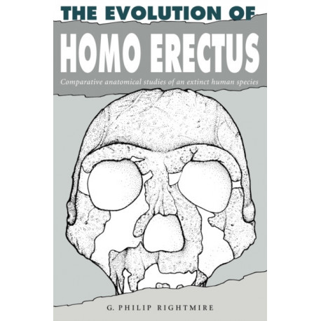 The Evolution of Homo Erectus: Comparative Anatomical Studies of an Extinct Human Species