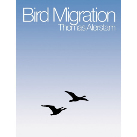 Bird Migration