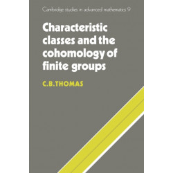 Characteristic Classes and the Cohomology of Finite Groups