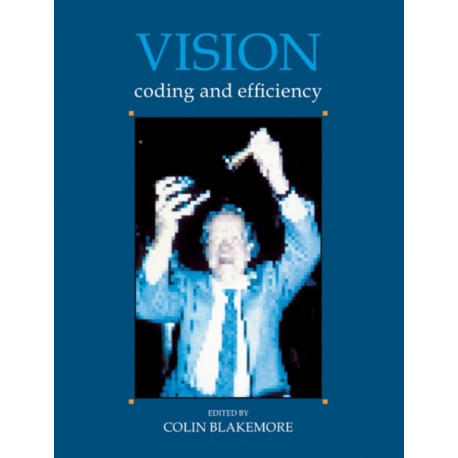 Vision: Coding and Efficiency