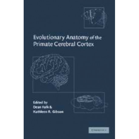 Evolutionary Anatomy of the Primate Cerebral Cortex