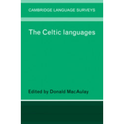 The Celtic Languages