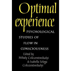 Optimal Experience: Psychological Studies of Flow in Consciousness