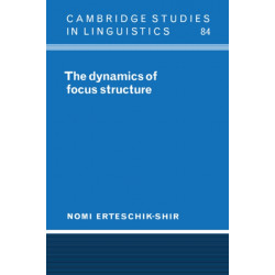 The Dynamics of Focus Structure