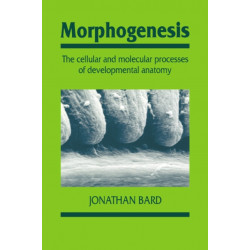 Morphogenesis: The Cellular and Molecular Processes of Developmental Anatomy
