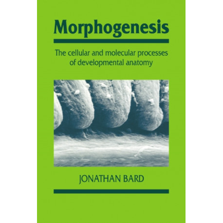 Morphogenesis: The Cellular and Molecular Processes of Developmental Anatomy
