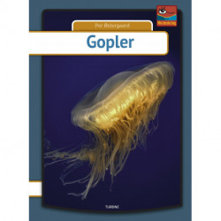 Gopler