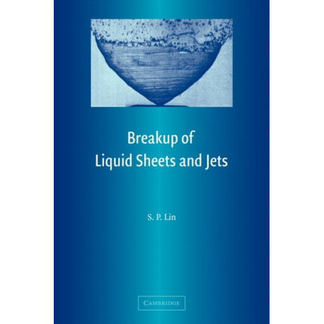Breakup of Liquid Sheets and Jets