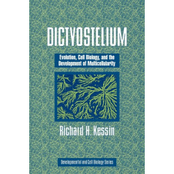 Dictyostelium: Evolution, Cell Biology, and the Development of Multicellularity