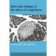 Molecular Biology of the Islets of Langerhans