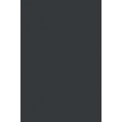 Future Girl: Young Women in the Twenty-First Century