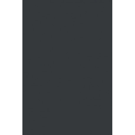 Future Girl: Young Women in the Twenty-First Century