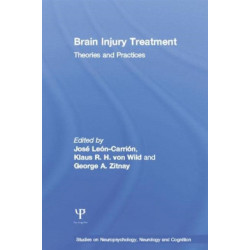 Brain Injury Treatment: Theories and Practices