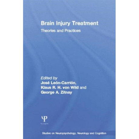 Brain Injury Treatment: Theories and Practices