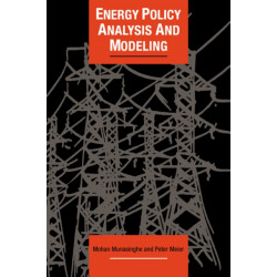 Energy Policy Analysis and Modelling