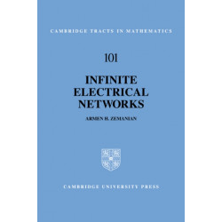 Infinite Electrical Networks
