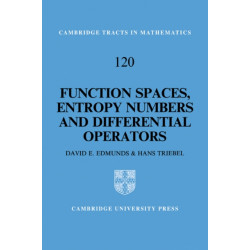 Function Spaces, Entropy Numbers, Differential Operators