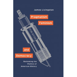 Pragmatism, Feminism, and Democracy: Rethinking the Politics of American History