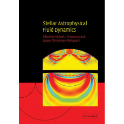 Stellar Astrophysical Fluid Dynamics